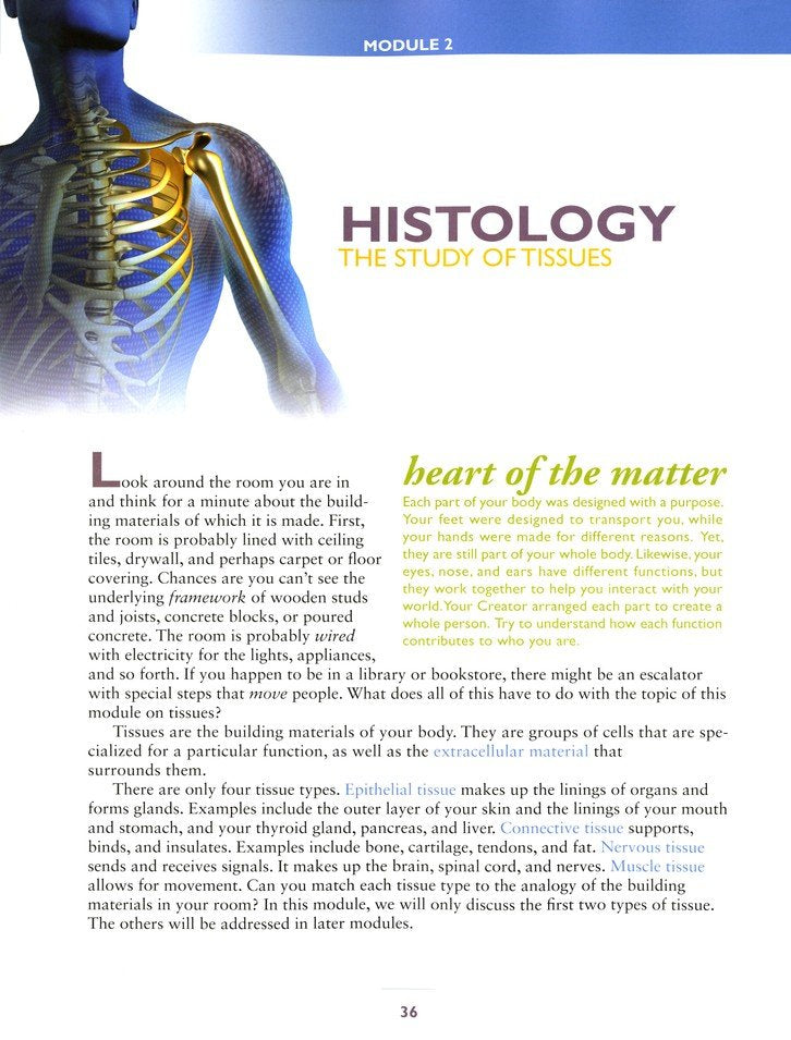 Apologia Exploring Creation With Advanced Biology: The Human Body ...