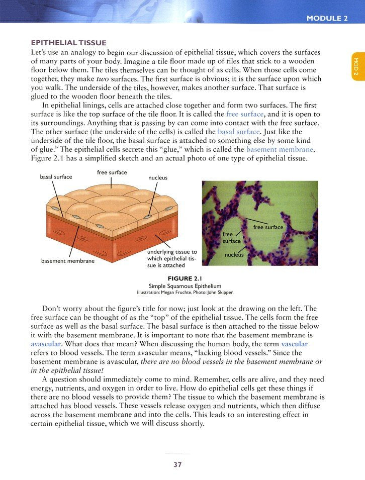 Apologia Exploring Creation With Advanced Biology: The Human Body ...